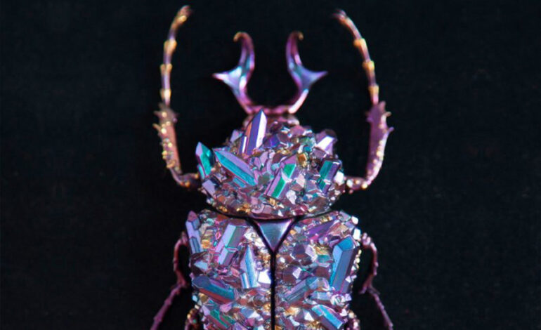 The Art of Mineral Insects: Nozomi C’s 3D Printed Sculptures